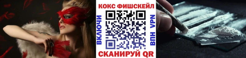 APVP Шенкурск