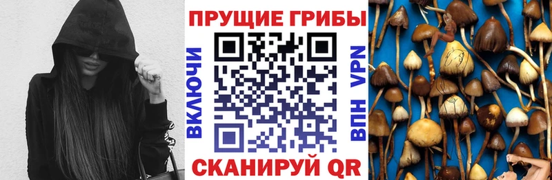 Галлюциногенные грибы прущие грибы  Шенкурск 